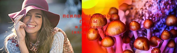 прущая мука Белокуриха