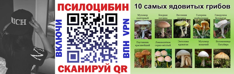 Галлюциногенные грибы Psilocybine cubensis Володарск