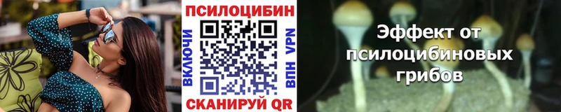 Галлюциногенные грибы Magic Shrooms  где найти наркотики  Володарск 
