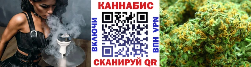 Конопля сатива  Володарск 